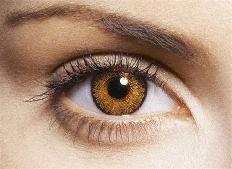 Honey Colored Contacts For Dark Eyes For Successful Blogs Efecto