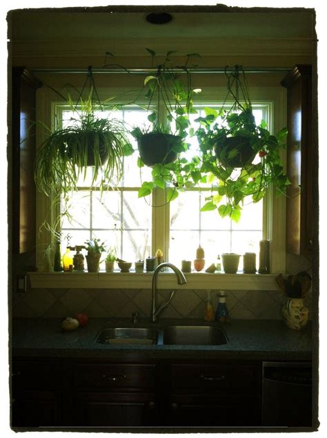 A Kitchen Window With Plants Hanging Over It