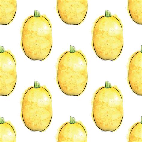 Spaghetti Squash Illustrations Royalty Free Vector Graphics And Clip Art
