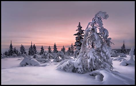 Lappland Winterwelt Foto And Bild Europe Scandinavia Lappland Sápmi