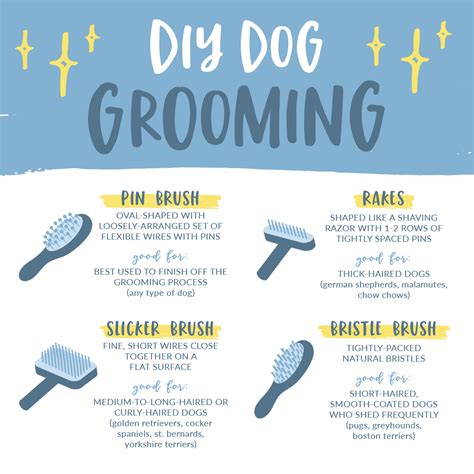 Diy Grooming Dog Brush Basics Dog Grooming Shop Dog Grooming Tools