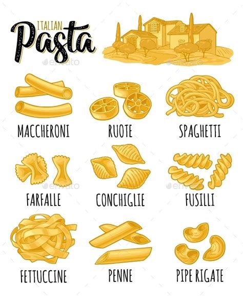 Different Types Macaroni And Italian Pasta Vectors Graphicriver