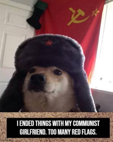 Image Tagged In Russian Doge Imgflip