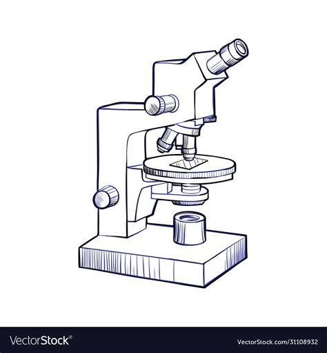 Microscope Sketch And Line Art Royalty Free Vector Image
