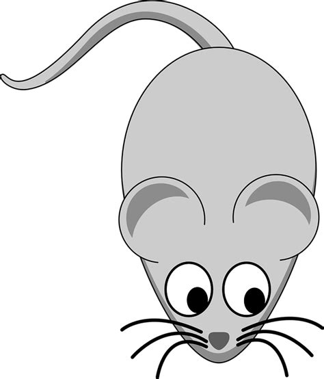 Computer Mouse Clip Art Mouse Png Download 616720 Free