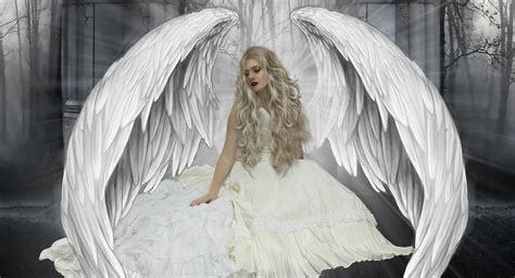 Download Fantasy Angel Wallpaper By Mjohnson Fantasy Angel Wallpapers Criss Angel
