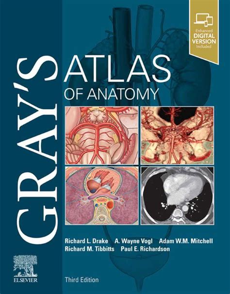 Grays Atlas Of Anatomy 3rd Edition Vetbooks