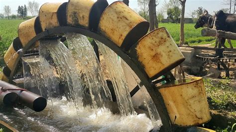 Persian Wheel Method Of Irrigation Water Wheel Irrigation System