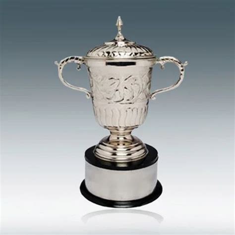 Silver School Cup Trophy At Best Price In Hyderabad Id 8404890248