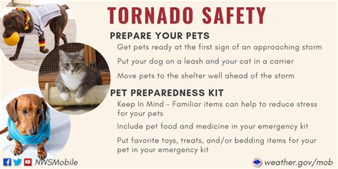 Tornado Safety Tips Neighbors Public Safety Service Help Center
