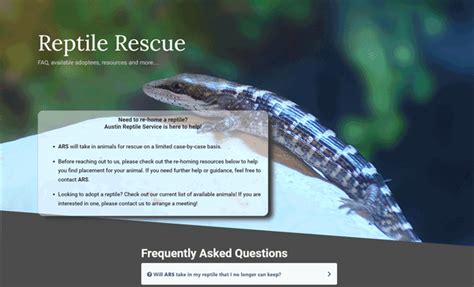 reptile rescue austin reptile service