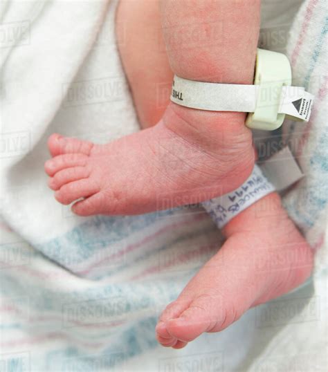 Newborn Babys Feet With Hospital Tags Stock Photo Dissolve