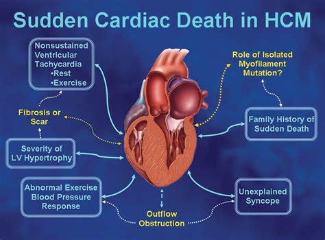 Abnormal Condition Of Death Of Cells Medical Term