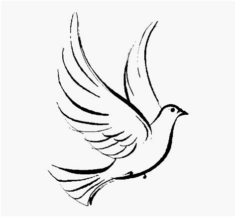 Dove Transparent Christianity Symbol The Quotes