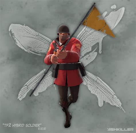 Tf2 Hybrid Soldier By Mctaylis On Deviantart