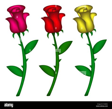 Set Of Realistic Roses Vector Illustration Isolated On White