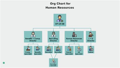 Your Guide To The Hr Organizational Chart And Departm