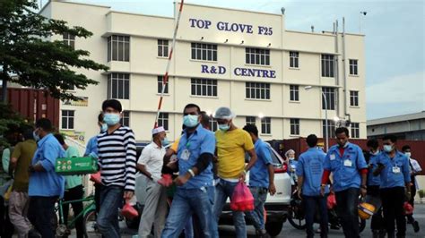 Top glove is a leading manufacturer of disposable rubber gloves. Selepas lebih 7,000 kes Covid-19 dalam Kluster Teratai ...