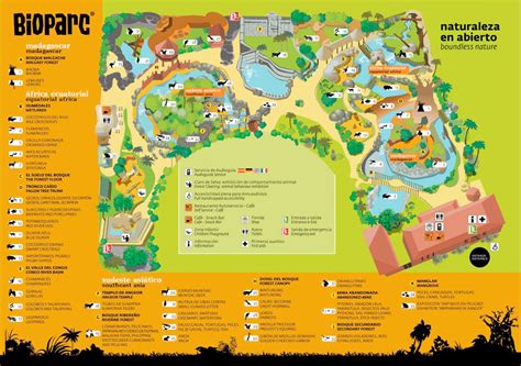 Beleef een gezellige dag dierentuin met de hele familie in dierenpark wissel. Bioparc Fuengirola dierentuin in Andalusie