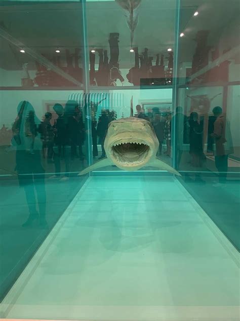 See Damien Hirsts Shark During Frieze Week Fad Magazine