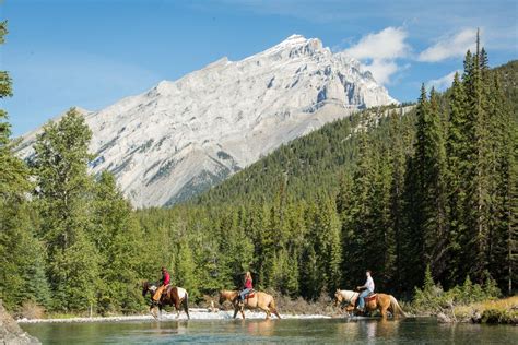 Banff Trail Rides Banff Trail Riders Official Website Sulphur