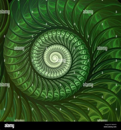 Abstract Fractal Spiral Shell Background Spiral Symmetry Fibonacci