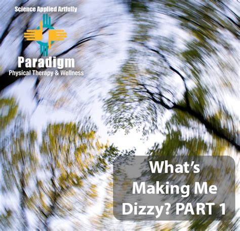 Whats Making Me Dizzy Part 1 Paradigm Physical Therapy
