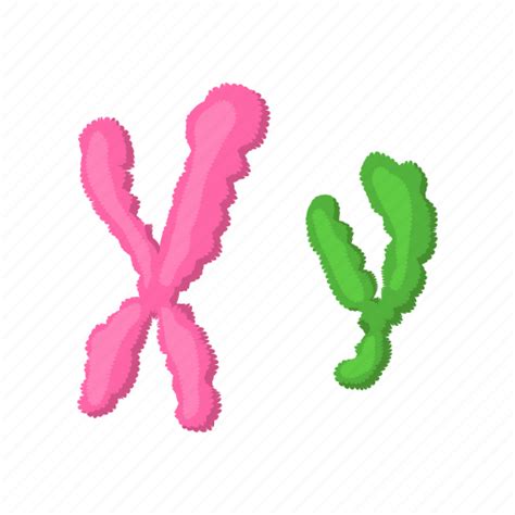 Cartoon Chromosome Dna Genetic Human Medical Science Icon