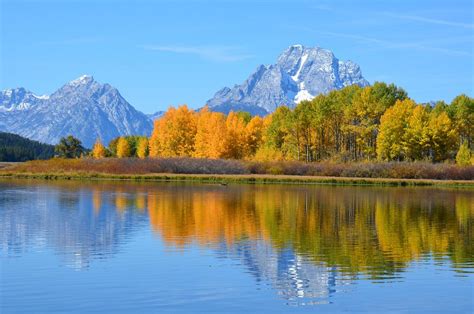 Oxbow Bend Moran All You Need To Know Before You Go