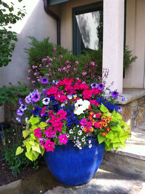 The distinct frangrance of petunias makes them ideal for massing in planter boxes edging a terrace and in window goxes or. Sunny spot container | 1000 | Flower pots outdoor ...