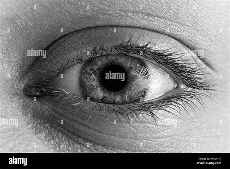 Female Bright Eye With Long Lashes Close Up Human Eye Macro Detail