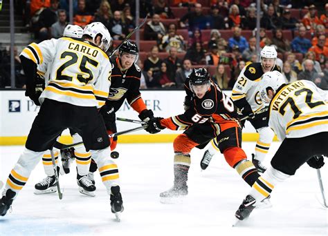 Submitted 5 hours ago by natureboy45. Boston Bruins' fun new game idea: Duck, Duck, Lose