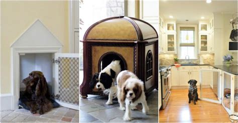 25 Cool Indoor Dog House Designs How To Instructions
