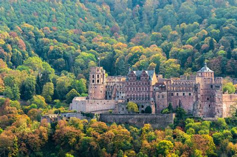 Kostenlose Castelul Heidelberg Und Heidelberg Bilder Pixabay