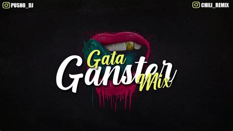 Gata Ganster Mix Pusho Dj Chili Remix Youtube