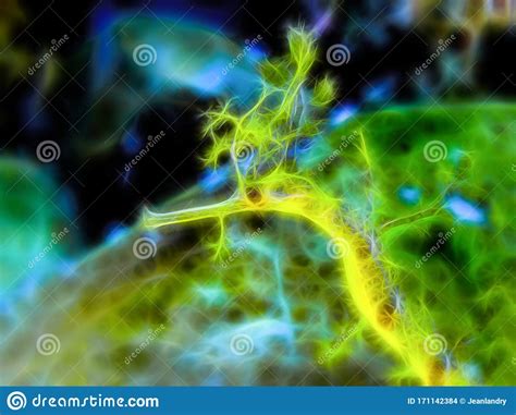 We did not find results for: Digitally Modified Photo Of Leafy Sea Dragon Seahorse ...