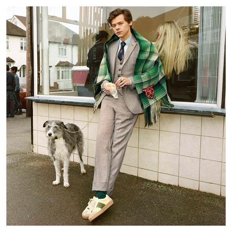 Things are looking golden for harry styles, who just earned his very first grammy nominations! Harry Styles for the New Gucci Tailoring Ad Campaign | Tom ...