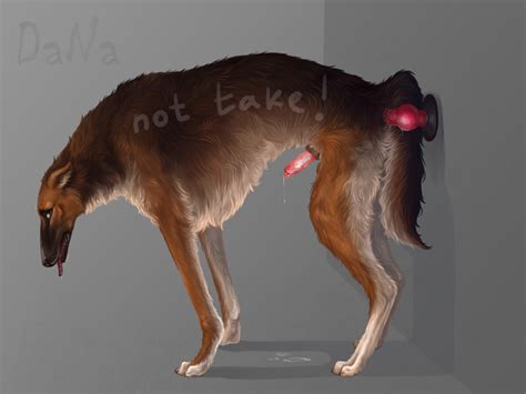 Rule 34 Anal Anal Masturbation Canine Canine Danawolfin Feral Male