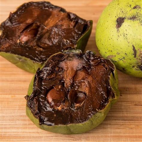 Buy Black Sapote Seedling Fruit Live Plant Online Greens Of Kerala
