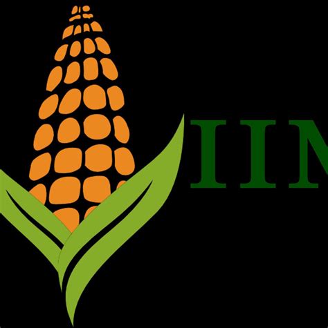 Icar Indian Institute Of Maize Research Ludhiana