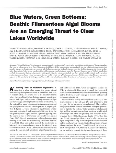 Pdf Blue Waters Green Bottoms Benthic Filamentous Algal Blooms Are