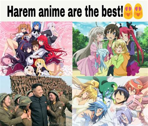 Aggregate More Than Best Harem Anime On Netflix In Duhocakina