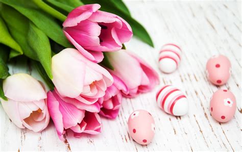 Download Easter Egg Pink Flower Tulip Flower Holiday Easter 4k Ultra Hd