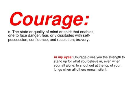 Courage Photo Essay