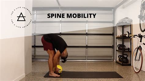 Spine Mobility Sequence Everyday Youtube