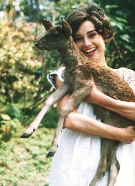 Weitere ideen zu ausmalbilder, ausmalen, wenn du mal buch. audrey-hepburn-with-her-deer | Flickr - Photo Sharing!