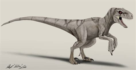 Jurassic World Dominion Atrociraptor Ghost By Nikorex On Deviantart