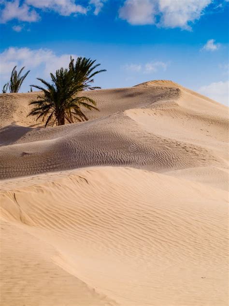 Sand Dunes In The Sahara Desert Near Douz Tunisia Africa Stock Photo