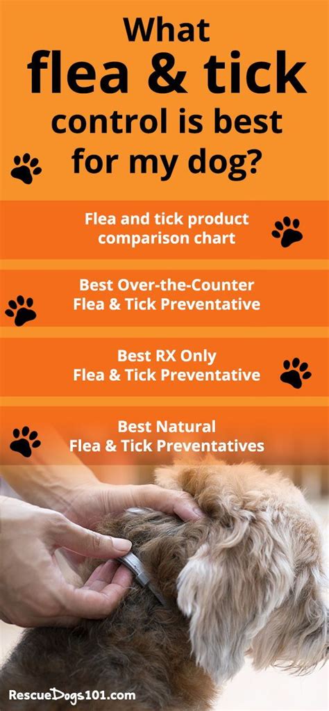 Which Dog Flea And Tick Control Is The Best Chart In 2020 Flea And