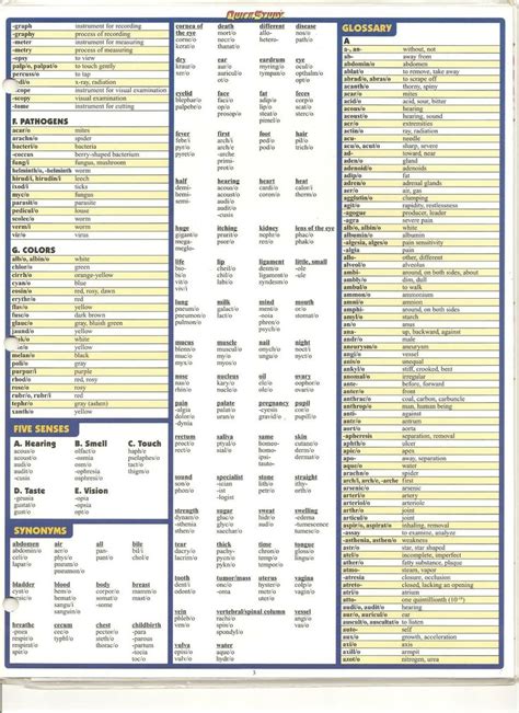 Printable Medical Terminology Flashcards Printable World Holiday